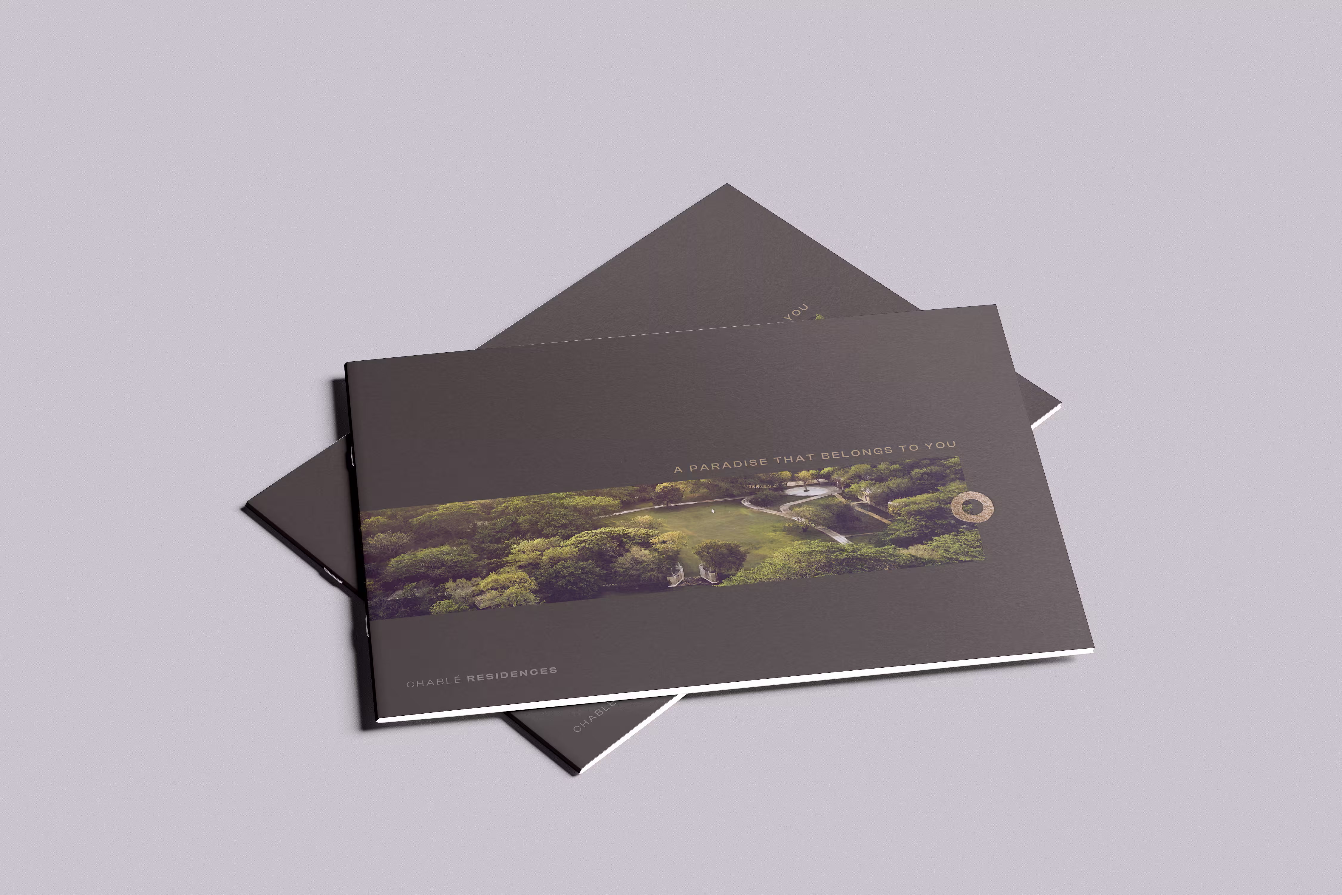 Chablé Collateral Detail