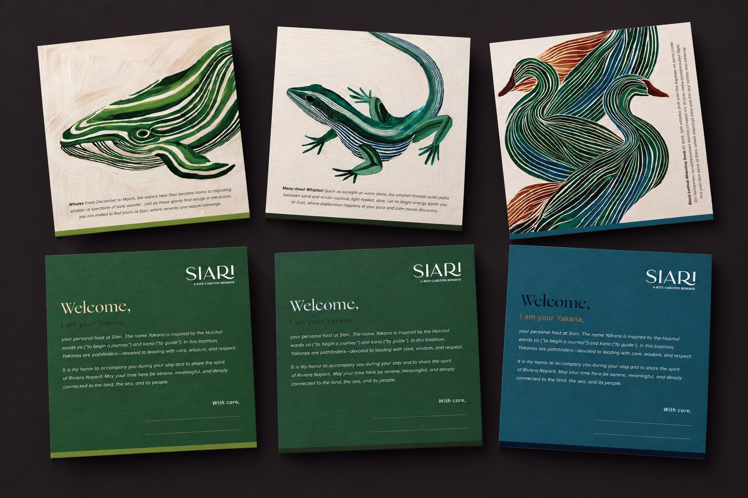 Colección de postales de Siari